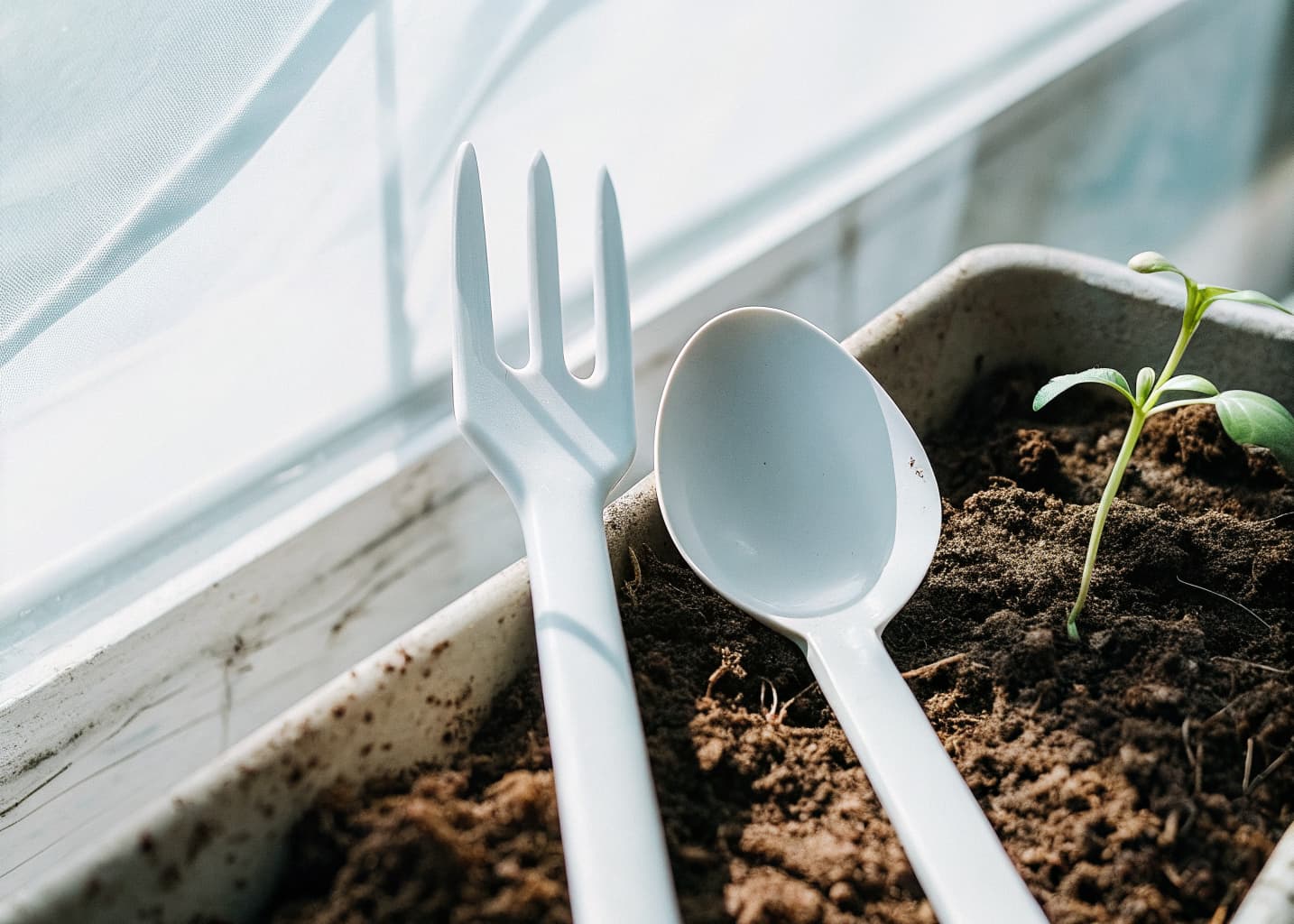 A biodegradable PHA fork and spoon decomposing into rich compost soil beside a growing seedling