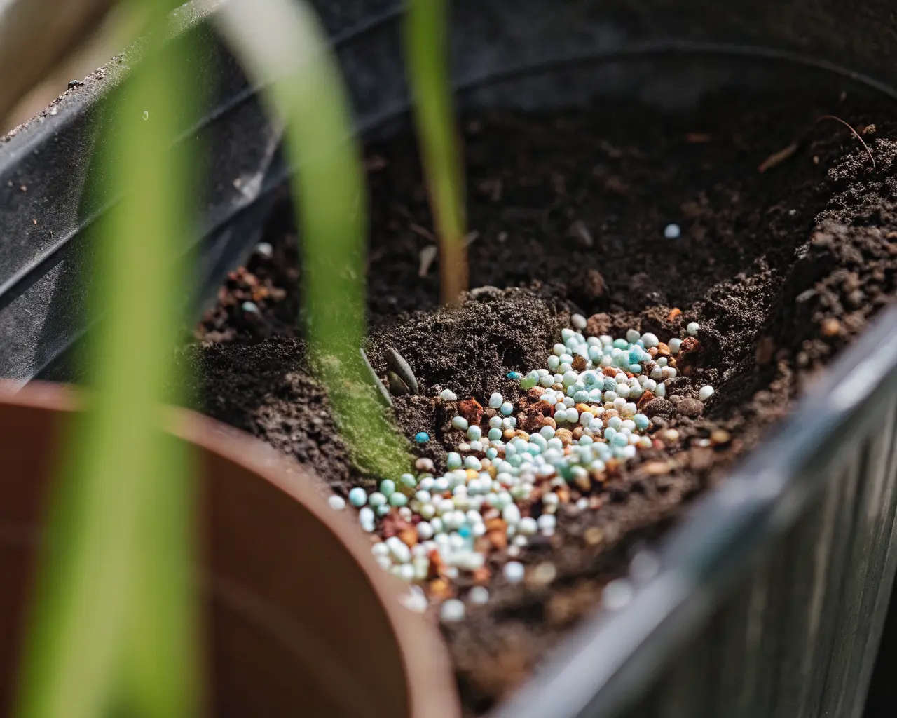 Microplastic pellets and beads contaminating garden soil and plant roots — plastic pollution entering terrestrial ecosystems