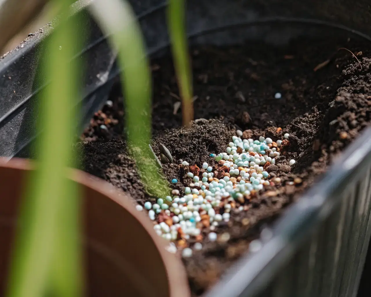 Microplastic pellets and beads contaminating garden soil and plant roots β plastic pollution entering terrestrial ecosystems