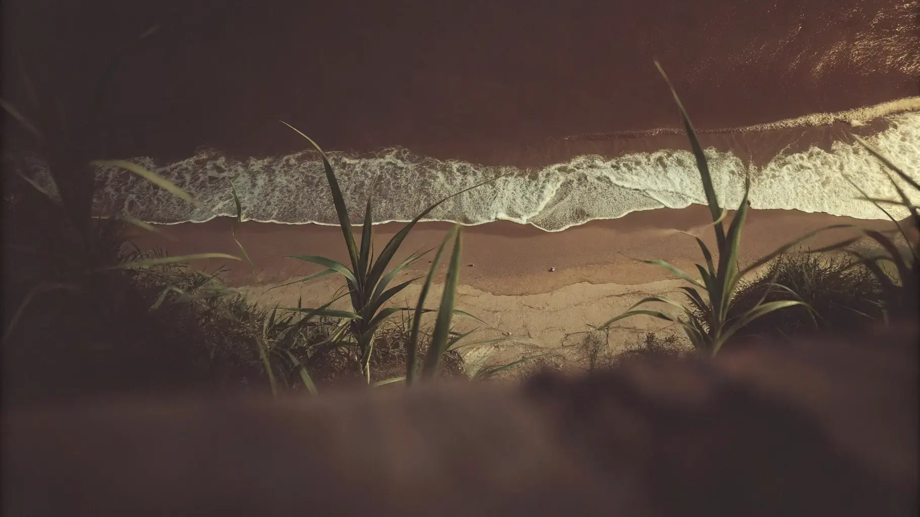 Clean ocean coastline — choosing compostable and biodegradable products protects marine environments