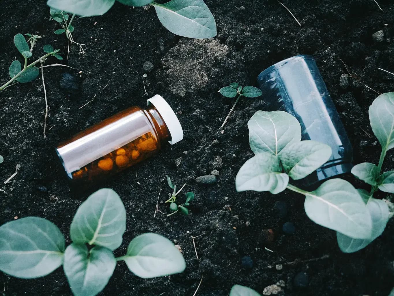Biodegradable pill bottles resting in soil surrounded by plants