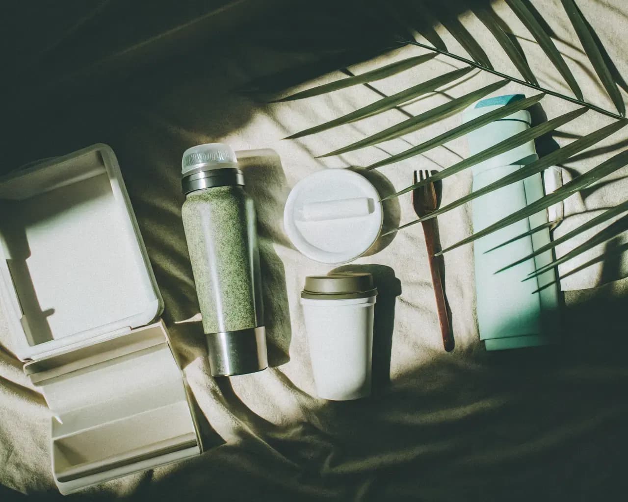 Flat lay of compostable packaging products โ clamshell boxes, cups, straws, utensils, and bottles