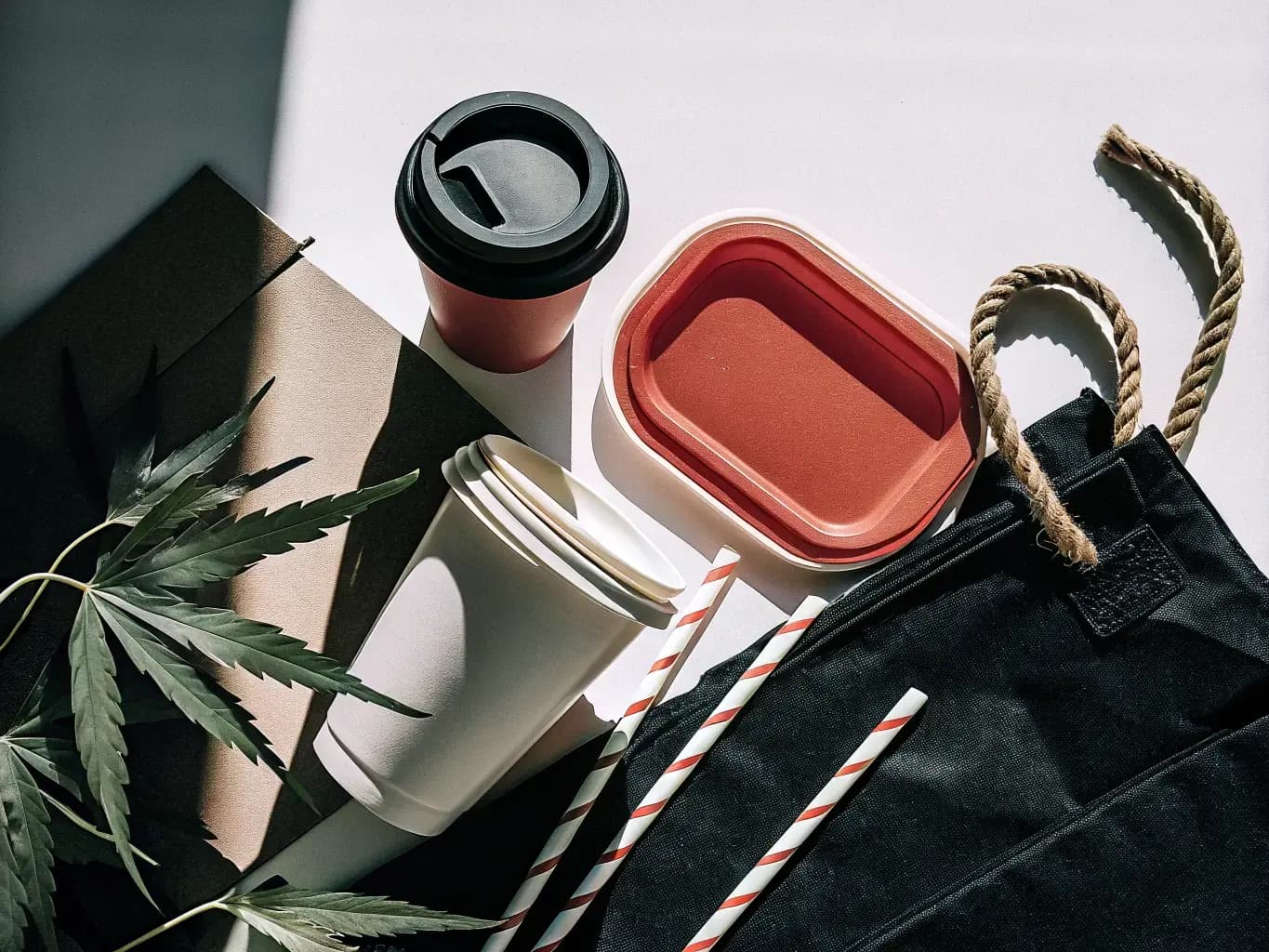 Eco-friendly compostable and biodegradable products — cups, straws, utensils, and sustainable packaging solutions from Pure Form Solution
